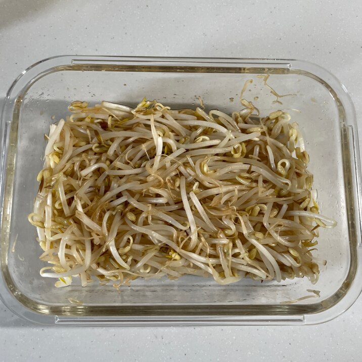 無限もやし